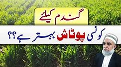 Which form of potash is better for Wheat crop || Crop Reformer