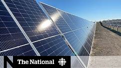 First look at Canada’s largest solar farm