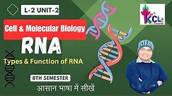 RNA - Structure & Types ! t RNA , mRNA, & rRNA ! L-2 Unit-2 Cell & Molecular Biology , 8th Semester