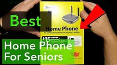 Best Landline Replacement Phone for $15/ month!