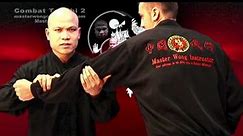 Tai chi combat tai chi chuan fight style use chen tai chi – lesson 13 - video Dailymotion