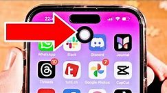How to Get Rid of the Circle on My iPhone Screen (2024)