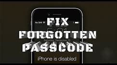 How to fix forgotten password on iPhone, iPod Touch, iPad, iOS 9 and iOS 8