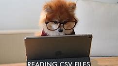 How To Read A CSV File In Python