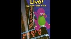 Barney Live! in New York City 2000 VHS (How it Should Have Been in My Opinion)