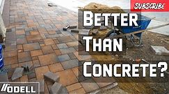 How to Prep and Set Pavers like a pro! Full Backyard Remodel!