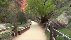 Riverside Walk, Zion National Park (HD)