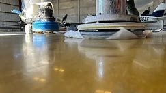 Concrete Stain and Polishing
