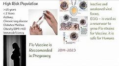 Influenza vaccines, Flu vaccine, Flu shots - Effectiveness, safety and importance