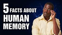 5 Five Facts About Human Memory | Memories Explained | Brain Neuroscience