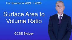 GCSE Biology Revision "Surface Area to Volume Ratio"