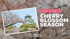 Cherry Blossom Guide | Inspiring Vacation