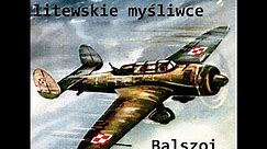 PZL.46 Sum | i litewskie myśliwce