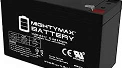 Mighty Max Battery 12V 9Ah Replacement for Vision CP1272, CP1290