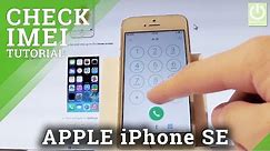 How to Check IMEI in APPLE iPhone SE - IMEI Info / Serial Number