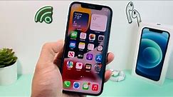 iPhone 12 Unboxing Amazon Renewed Review (2022)