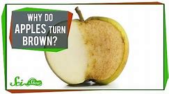 Why Do Apples Turn Brown?