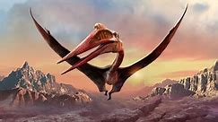 What Were the Largest Flying Dinosaurs?