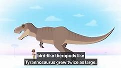 The Biggest Dinosaurs Of All Time