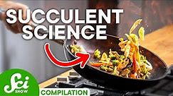 The Best Way to Cook Food, According to Science | SciShow Compilation
