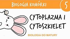 Cytologia 5 - cytoszkielet i cytoplazma cytozol - biologia matura poziom rozszerzony liceum