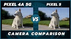 Google Pixel 4a 5G vs Pixel 5 Camera Comparison // Same cameras, same results?