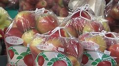 Wayne County hosts apple tasting tour