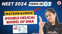 Watson and Crick Double Helical Model of DNA in 10 Minutes | Class 12 Biology | NEET 2024/25