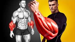 The Most Effective Forearms Workout for Muscle Growth