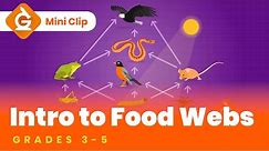 Food Webs & Food Chains for Kids | Fun Lesson for Grades 3-5 | Science