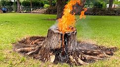 Easy Stump Removal ! Amazing Way to Remove A Tree Stump - Complete Stump Burn