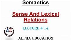 Sense and Lexical relations | Lec # 14 | Dimensions of meaning |#semantics #linguistics