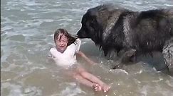 AMAZING Dog Rescues Little Girl From Ocean!
