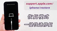 苹果手机出现support.apple.com/iphone/restore的 5 个解决方法！