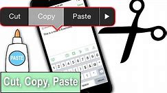 How To Cut, Copy And Paste On iPhone 6 & iPhone 6 Plus
