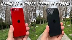 iPhone SE 2022 vs iPhone SE 2020 Camera Comparison | Is there really a difference?