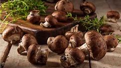 How to Grow Portobello Mushrooms at Home?