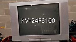 Sony Wega Trinitron KV-24FS100 CRT repair project, Part 1