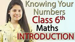 Introduction - Knowing Our Numbers - Chapter 1 - Class 6th Maths
