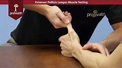 Extensor Pollicis Longus Muscle Test Palpation Dr Vizniak Muscle Manual