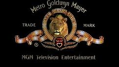MGM Television Entertainment (2002)