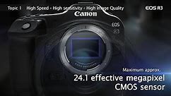 The Canon EOS R3’s New Back-Illuminated, Stacked CMOS Sensor with Rudy Winston