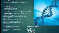 GENETICS LESSON||GRADE 12 LIFE SCIENCES