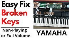 Yamaha keyboard Repair - Easy fix for keys not working - or being full volume - piano