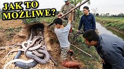 Znajdują Pod Ziemią Gniazda Węży, Ryby, Krokodyle | JAK?