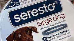 Report links Seresto flea-and-tick collar to 2,500 pet deaths