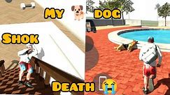 dog is death || dog was a death || 😭 I am shocking || new update on Indian bikers driving 3D game
