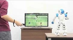 Humanoid Robot NAO Plays Video Game