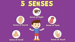 Human Sense Organs | Learn about five Senses