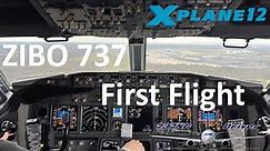 ZIBO 737 FIRST FLIGHT - So just how good does it actually fly? | Real Airline Pilot